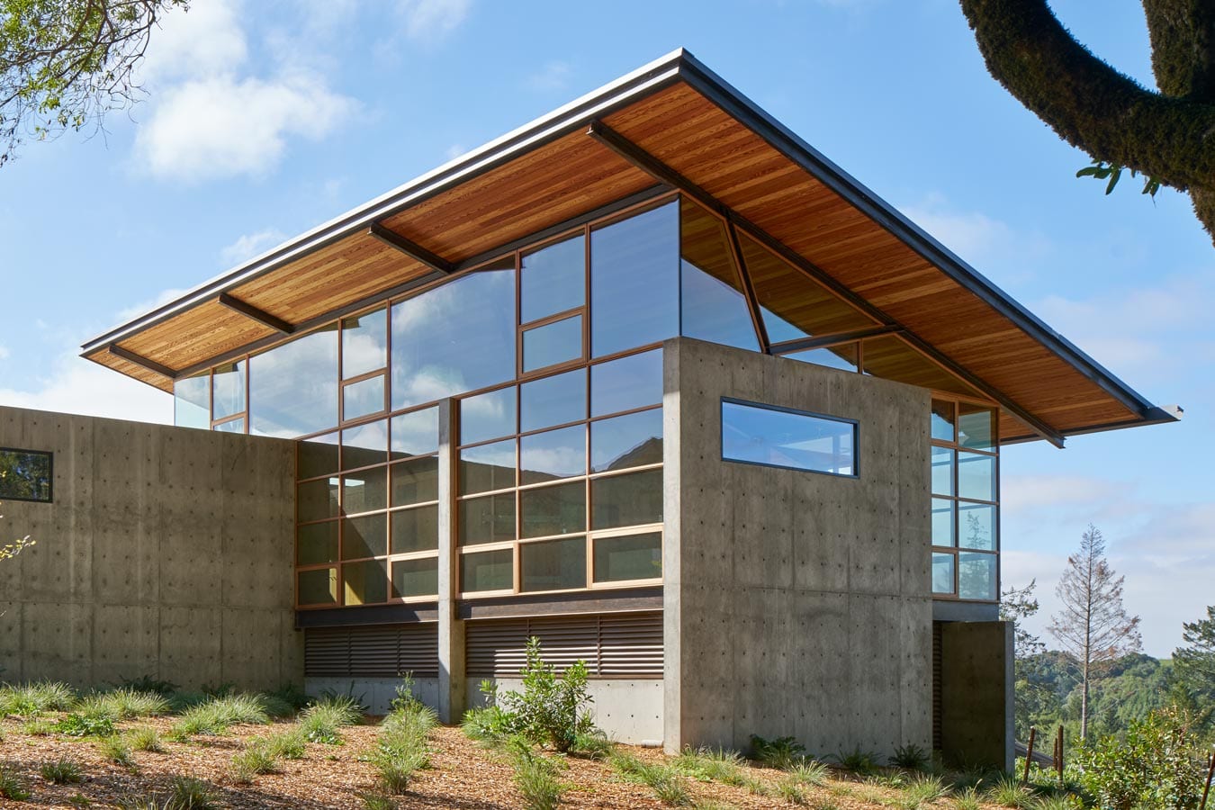 Residential slim wood storefront window