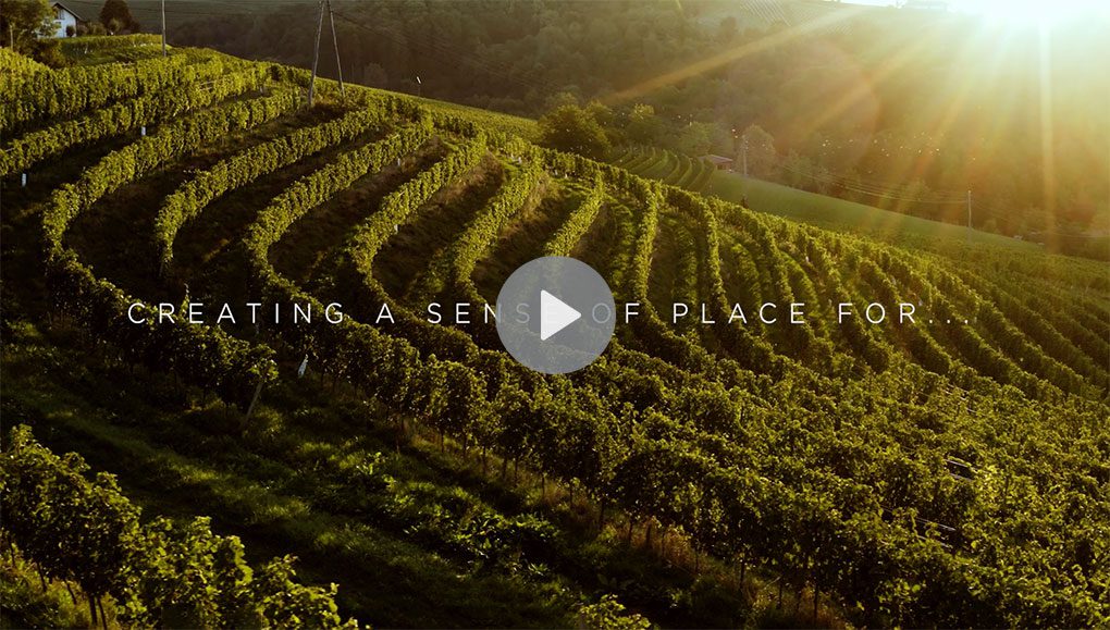 Architectural fenestration for Wineries video preview